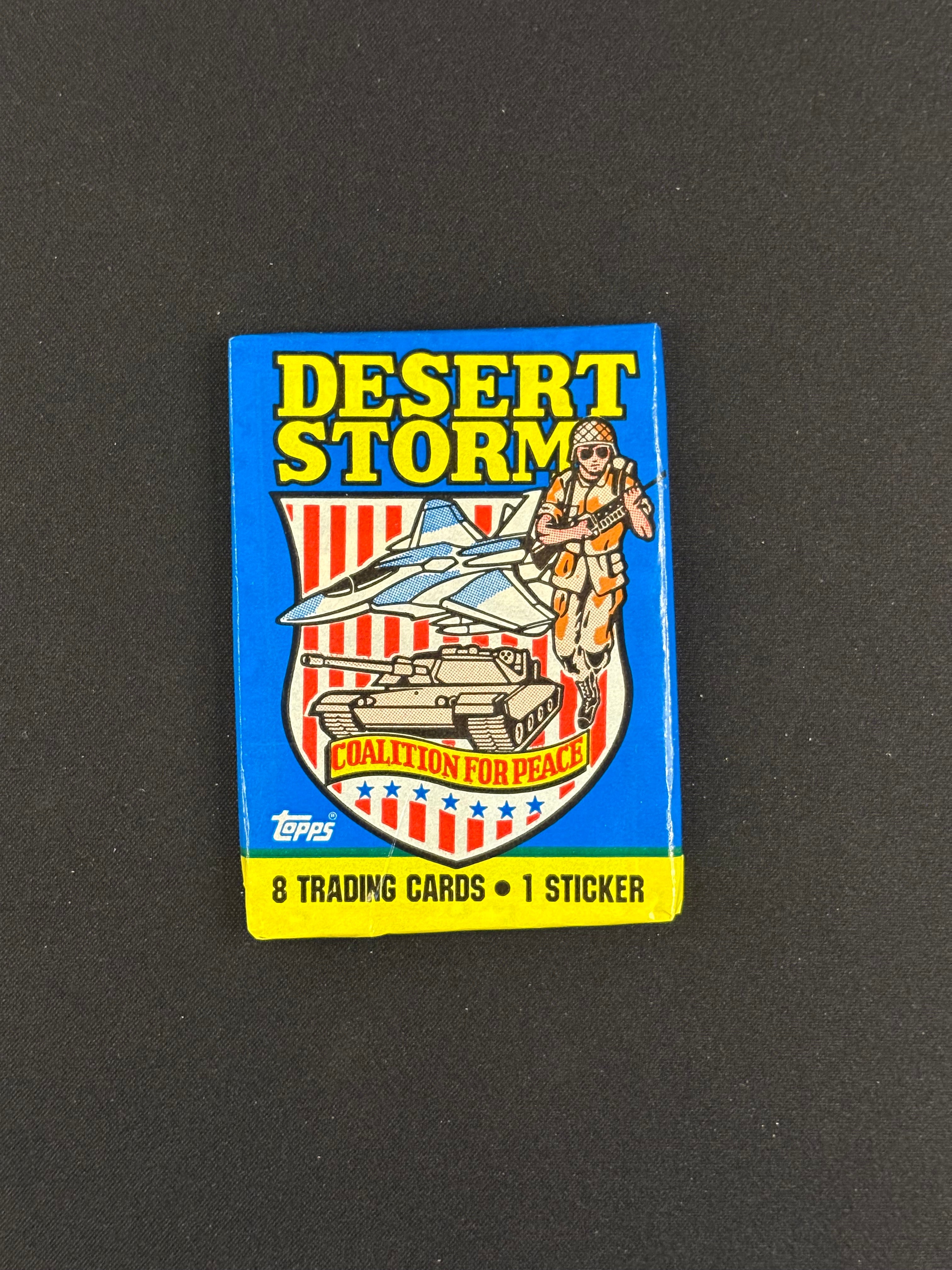 Desert Storm: Coalition for Peace